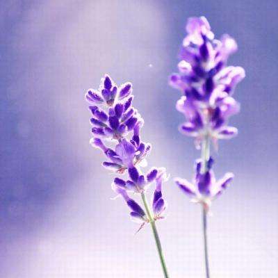 bte365真正的网站手机app下载